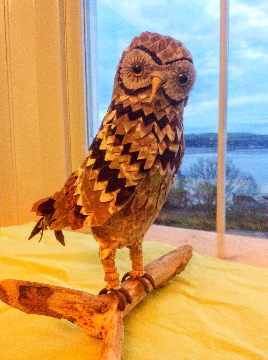 BeerLynda's tweet photo. I’ve been of the grid lately but have decided to start the new year with a tweet. I created a new bird before Christmas. May do more owls later this year.#cowal open studios #Argyll https://t.co/sHAqRcnYtG