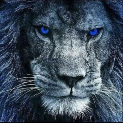 MrsGlock19's tweet photo. #NewProfilePic https://t.co/72kIb4C92q
