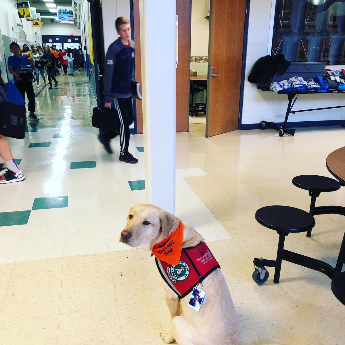 panthermaci's tweet photo. So happy to be back at school! @DMSPanthers #DMSPantherPride #PantherPup https://t.co/gew3EgcsF9