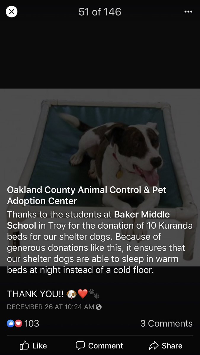 BeachReader100's tweet photo. Thank you to Baker students for the ten Kuranda Dog Beds!!!! Great job Baker!!! @BakerMiddle https://t.co/KUrjHKpOEv