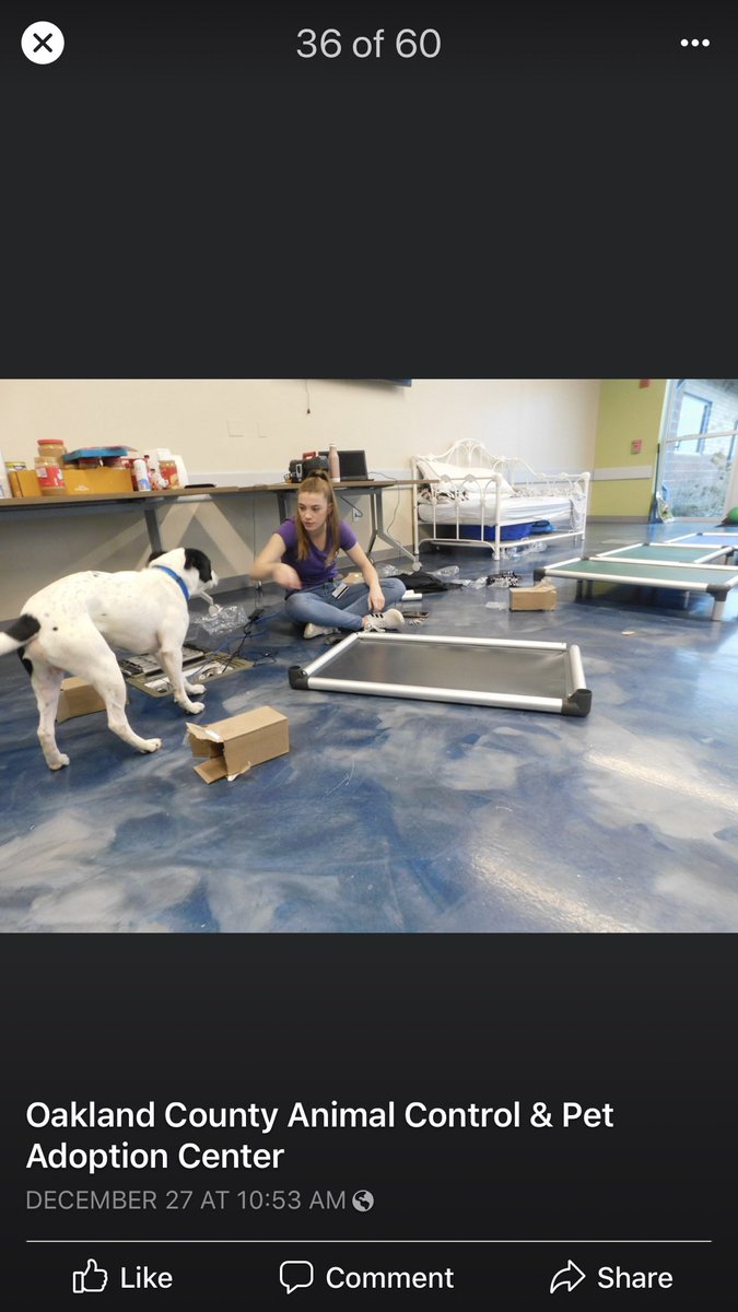 BeachReader100's tweet photo. Thank you to Baker students for the ten Kuranda Dog Beds!!!! Great job Baker!!! @BakerMiddle https://t.co/KUrjHKpOEv