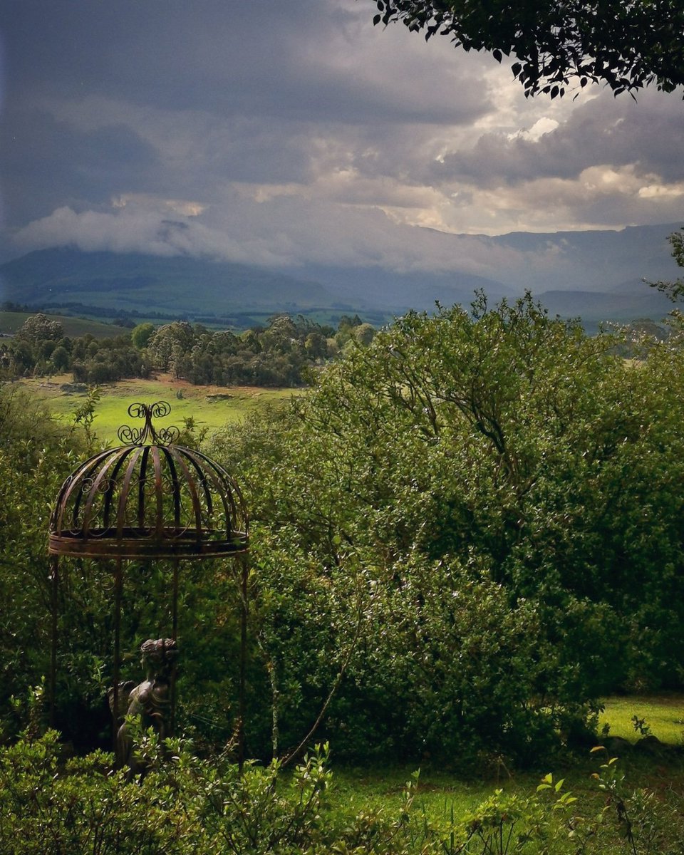 MichaelNefdt's tweet photo. Mountain Serenity.

#mountains #drakensberg #gardens #skies #thunderstorm #peace #dokzn #kwazulunatal #afternoon #nature #landscape #cloudporn #meetsouthafrica #soulfood #clouds #skyporn #southafrica #southafricanskies #africa #think https://t.co/pRJ9B9yYok