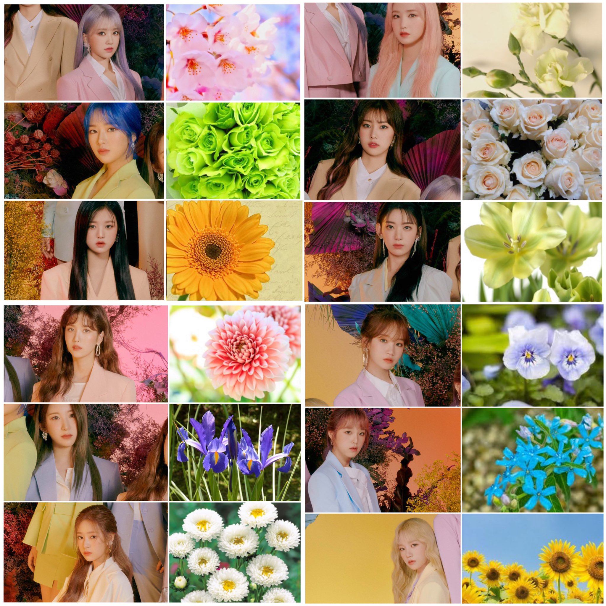 Eam Izoneのfiestaをイメージして さっきあげた動画の続きで イラストの花には全部花言葉 があり それぞれの衣装の色に合わせて それぞれみんなのイメージ似合う花を描きました みんなが笑顔でカムバできますように Izone Fiesta Wizone