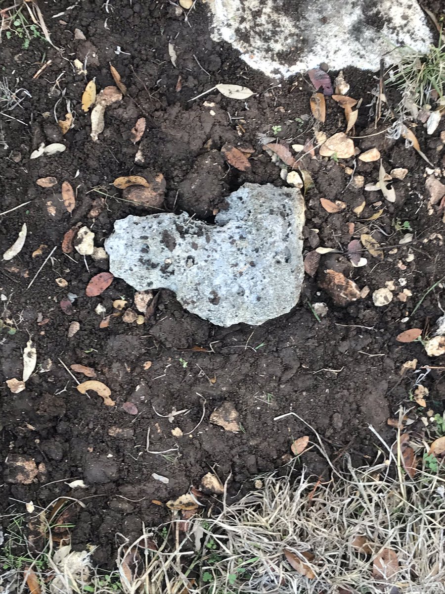 tweetbirby's tweet photo. I was finally able to burry you baby boy. You’re under a tree where the birds sing. I found you the perfect rock. It’s a heart. When I put you in the ground, birds started singing. Fly high baby. Mommy loves you https://t.co/VgN516ssNK