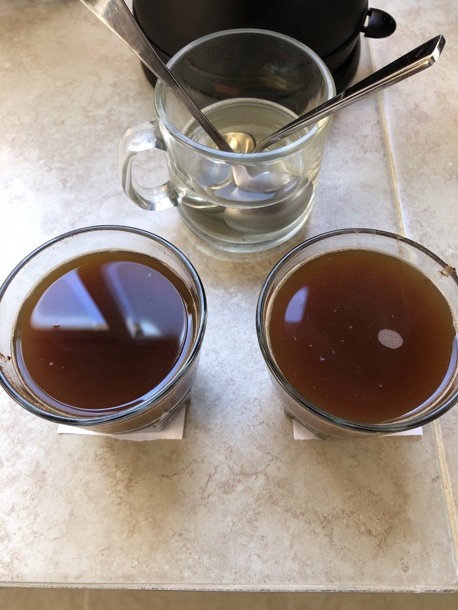 MGCoffee_mx's tweet photo. Una #cata rápida esta mañana para las pruebas de curva de #tueste de #cafés especiales de @GarciaGildo con @gm_leugim https://t.co/hz4FJOo9kq