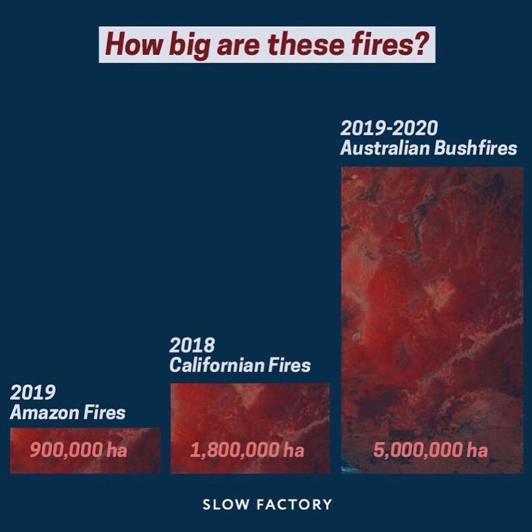 Complex's tweet photo. This is a 3D visualization of the fires in Australia using NASA satellite data.

12 million acres have burned, 500 million animals have died.

Here's how you can help: https://t.co/zp8PptXDxQ https://t.co/RRCg088YON