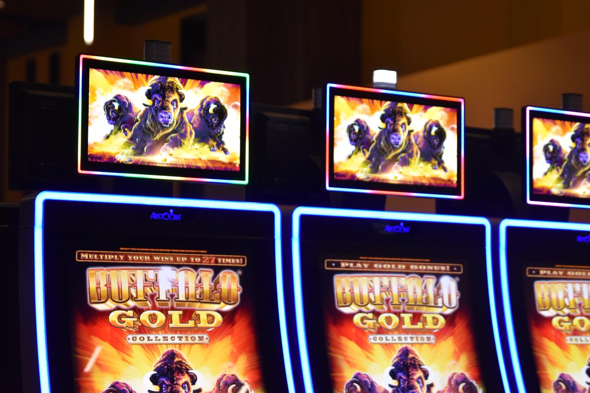 HarrahsValRiv's tweet image. Stampede into the new week with the Buffalo Gold! Easily one of our favorite sounds in the casino is when the buffalo bonus hits! 
#buffalogold #harrahsvalleyriver #harrahs
