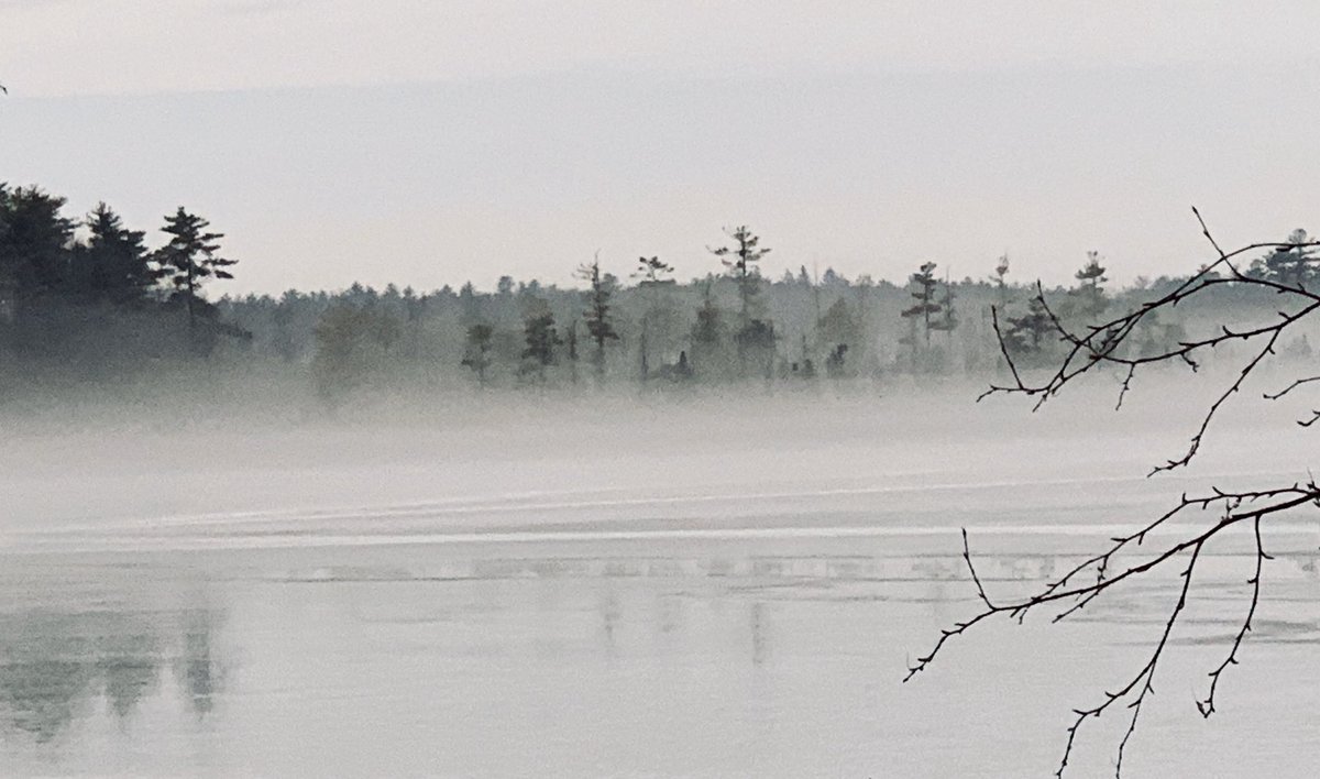 Misty morning at the lake.
🌫 “A fog drifts in, the heavy laden
Cold white ghost of the sea—“

🔹DRIFT: move slowly, pushed by air or water 
🔹LADEN: weighed down with something

“Gray Fog” by Sara Teasdale

bit.ly/CollegeInUSA
bit.ly/FunLearn

 #english #enl  #intled