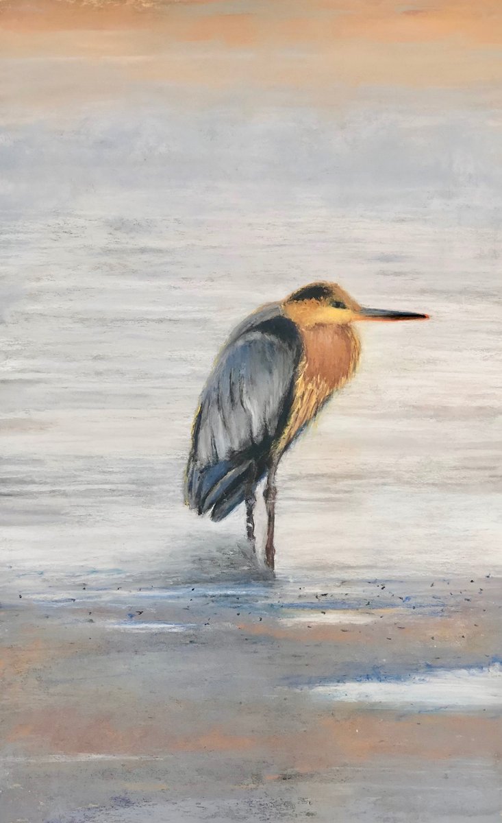 Check out our Members Exhibition: Drawing a (Blank) in Boulder at <a href="/MuseumofBoulder/">Museum of Boulder</a> through Jan 26! Lots of cool local artists! Image: Paula Kehoe