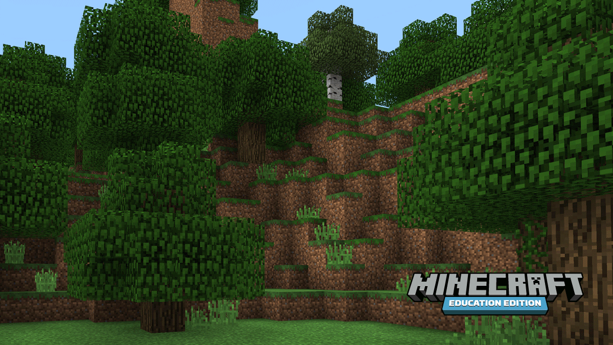 A forest laid out on a hill in Minecraft: Education Edition