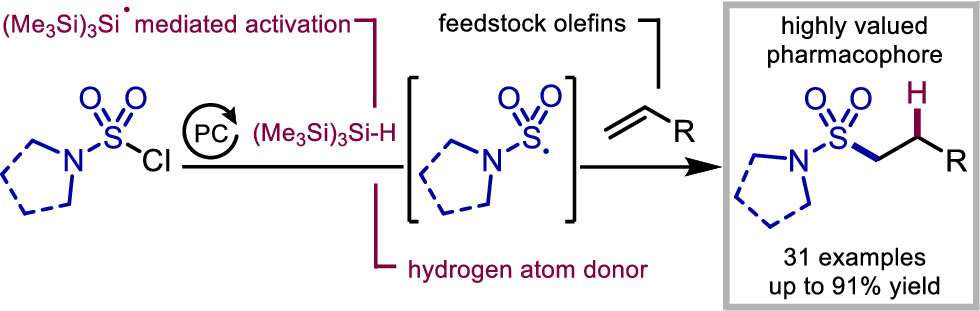 J. Am. Chem. Soc. tweet media