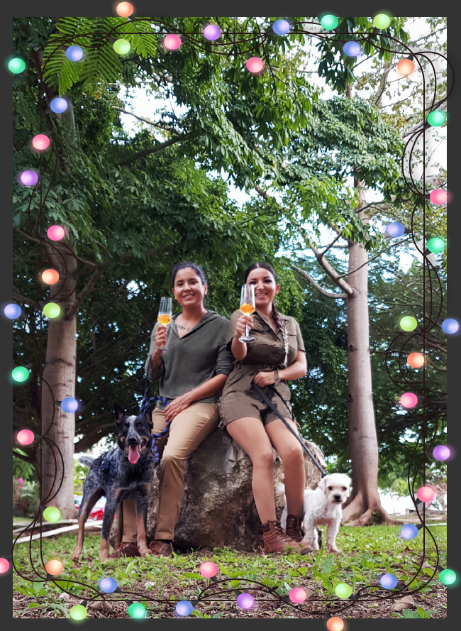 Pixán Comida Ancestral tweet media