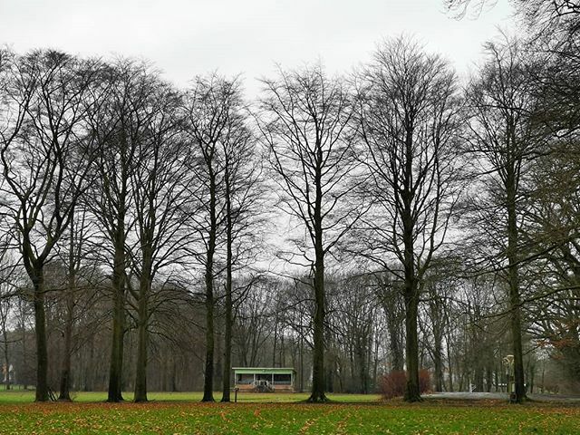 stadiongebod's tweet photo. The (decaying) stand at St Pietersveld (Wingene, Belgium) is a feast for the eyes of every tribuneswaffelaar.
#stpieter #wingene #Vlaanderen #Flanders #Flandersfields #Belgium #belgie #belgique #belgien🇧🇪 #groundhopping #delipidated #decay #whereisfootb… https://t.co/MN2XQGQZOY https://t.co/anQs8zTTsZ