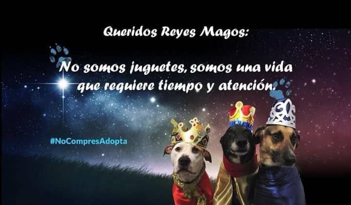 Pixán Comida Ancestral tweet media