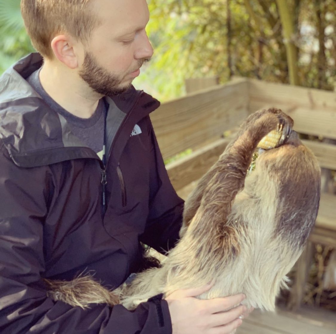 TrioTraveling's tweet photo. “Do stuff. Be clenched, curious. Not waiting for inspiration’s shove off society’s kiss on your forehead.” -Susan Sontag

#motivationalmonday #sloth #wildflorida #travelingtrio #dostuff @WildFlorida https://t.co/nIArjh5Y7P