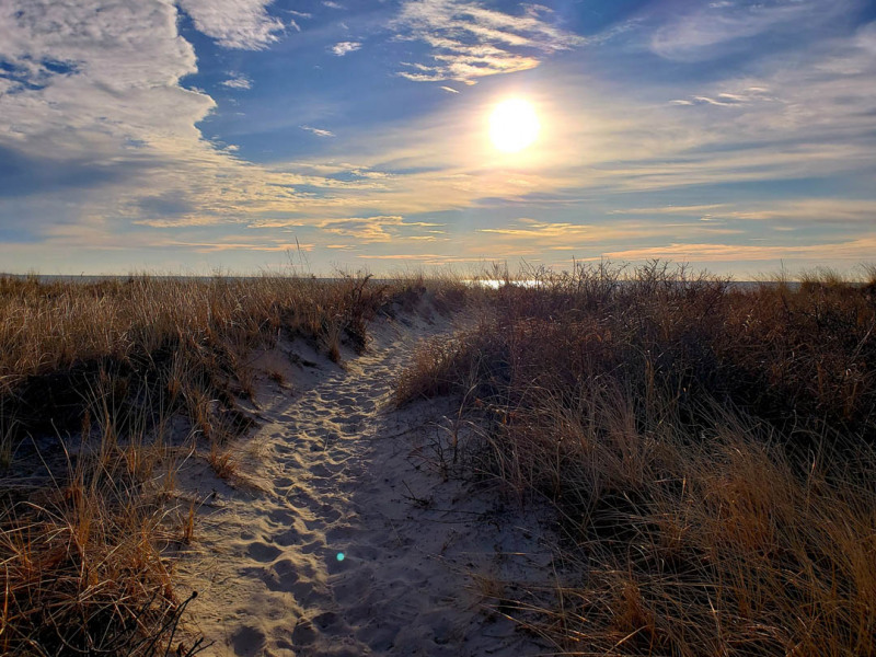 CapeCodcom's tweet photo. We visited #Dowses #Beach, which was quiet and peaceful just after dawn. It has tons of shells to collect, especially #slipperShells https://t.co/gDe8sSdvHO https://t.co/CYqMB14FGV