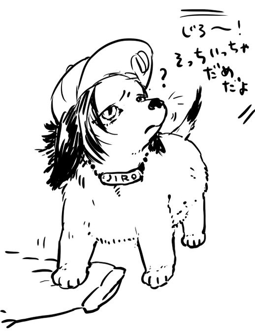 わん 