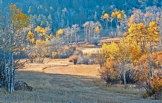 Boulder County Parks &amp; Open Space Department is accepting applications for the 2020 Artist-in-Residence Program at Caribou Ranch Open Space. Deadline Feb. 1. dailycamera.com/2020/01/03/bou…

#boulderartists #boulderarts