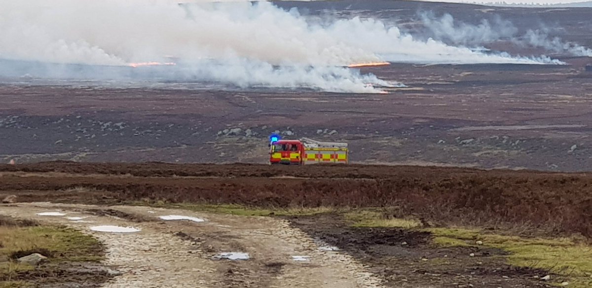 Lukesteele4's tweet image. Another day of Yorkshire’s peatlands being set on fire for grouse shooting — depriving the region of wildlife, plantlife and carbon stores.🔥

Locking carbon in the hills must be central to government’s green industrial strategy for the north.⛰

What do you say, @ZacGoldsmith?
