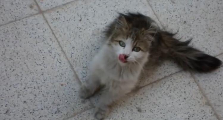 SSDRESCU's tweet photo. Please help us a little to relieve the suffering🙏🏽🙏🏽🙏🏽🙏🏽😔😔😔😔😔Here you can donate if possible, only $ 5 from everyone who can hayatsdr1@outlook.com https://t.co/41avBNQxX6