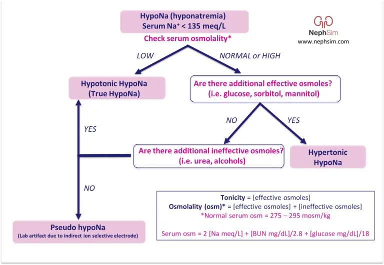 Neph_SIM's tweet photo. Case 29: A 64 y/o w/ HTN, depression, and multiple myeloma presents with...
#Hyponatremia
https://t.co/fhBTzCFytl
#Tonicity #Osmolality #FOAMed https://t.co/6AD2vfnmEh