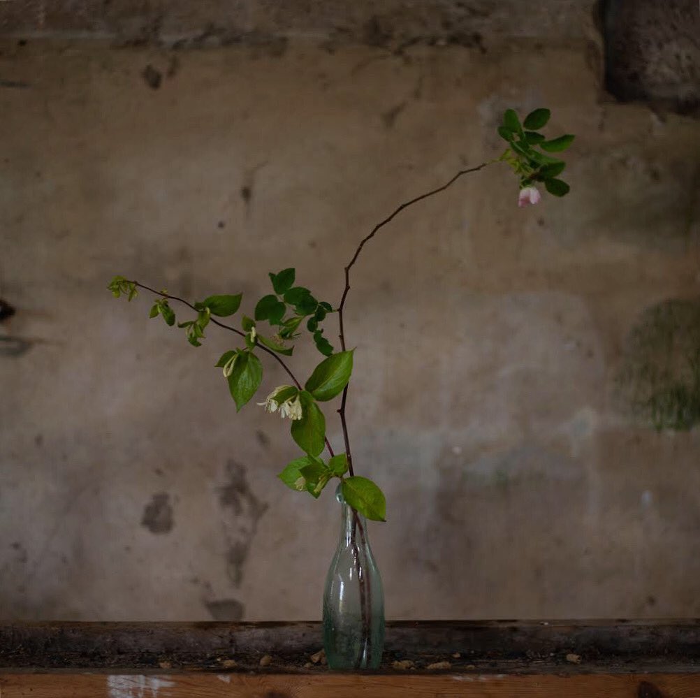 One of my favourites from the album shoot by <a href="/JessicaLennan/">Jessica Lennan</a> 👏🏼 
‘Yesterday’s Life’ is now added to my #youtube playlist. To stream or buy the full album, ‘Seventh Sense’ click the fan link in my bio! X
#stilllife #photograghy #newmusic #album #singersongwriter #seventhsense