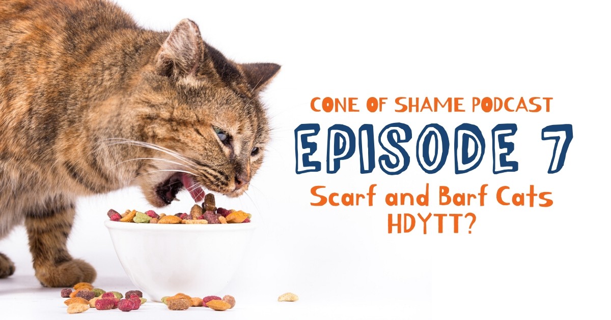 Ingrid interviewed with <a href="/DrAndyRoark/">Dr. Andy Roark</a> about cats that eat too quickly and later vomit, feeding multiple cats, and feeding cats with special dietary needs and how you can use food puzzles to manage all of these. Check it out here! #Foodpuzzlesforcats #FPFC drandyroark.com/cone-of-shame-…