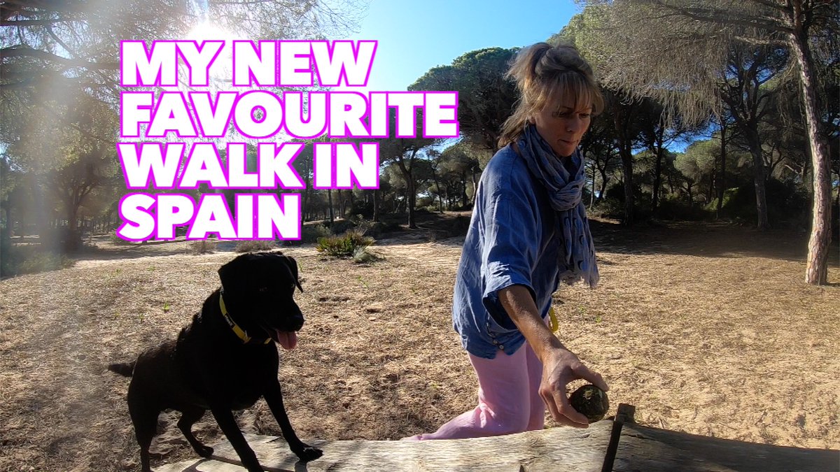 percythelabrad1's tweet photo. Check out my new Walk in Chiclana Spain https://t.co/8Ok2PpGYku #percythelabrador #dogs #chiclana @spain @WatchHideoutTV #walkies #beachlife #wintersun https://t.co/vzRlQQNQQl