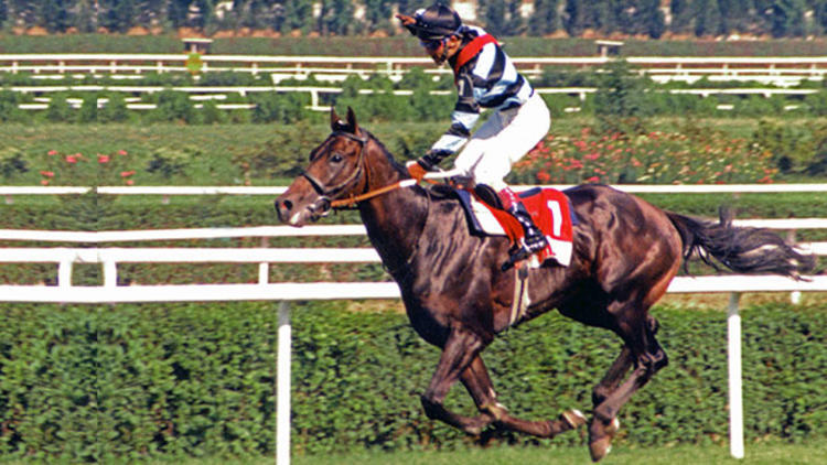 tribundergi's tweet photo. 'Ben Bold Pilot'ın yanına at yazmam.' 🏇 https://t.co/4LYDMlQGTS