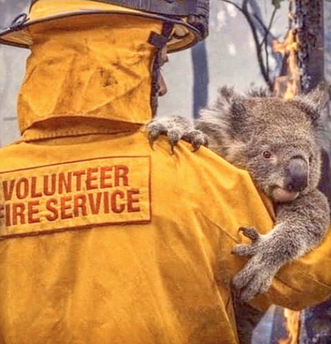 Praying for Australia 🙏🙏🙏#AustralianBushfire