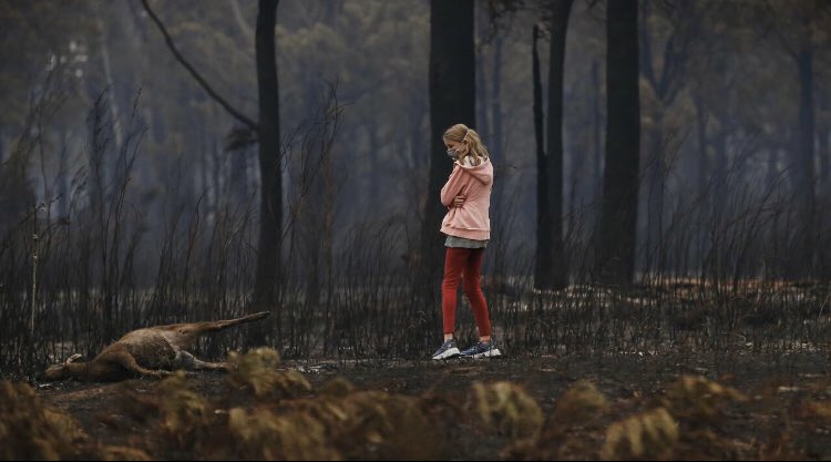 Delaying climate action is intergenerational warfare.

[image: David Caird]