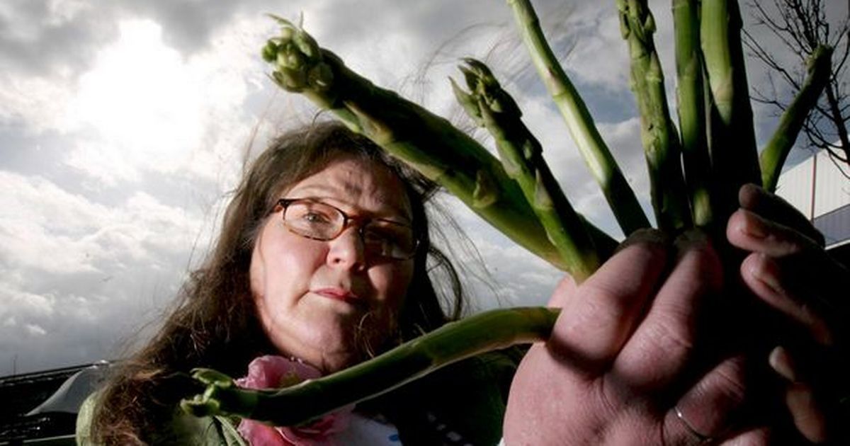 Psychic who forecast Brexit using asparagus predicts there will be a resurgence of independent retailers and smaller shops. Shop Local will start to mean something again. I may have to request 6 numbers from her for the weekend! 😀

#feedly buff.ly/2QLFGCY