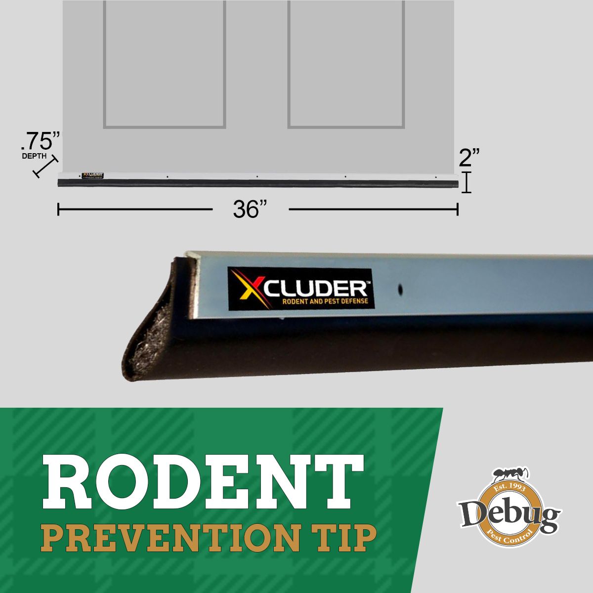 debugpestcntrol's tweet photo. Rodent Prevention Tip:
Install rodent-proof door sweeps on exterior and garage doors.
Ideal for: homes, restaurants, food facilities, hotels, schools, and other facilities that need reduced or eliminated chemical pest control.
#TrustDebug #Xcluder #Rats #Rodentrepellent https://t.co/4xdwH6s1FY