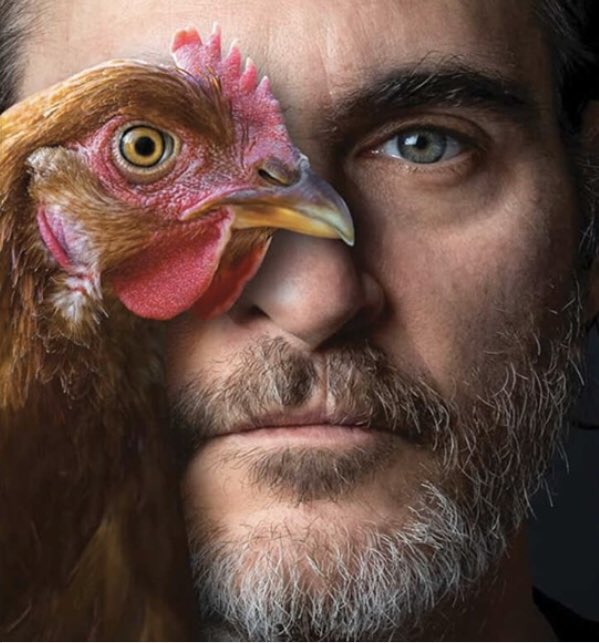 Hero for the animals 😍❤️ 
“I want to thank the HFP for recognizing and acknowledging the link between animal agriculture and climate change....It’s a very bold move making tonight plant-based...￼ and it really sends a powerful message.￼”. ..JP
YOU ROCK !!!! 🐮 🐷 🐓 🐠 🦃