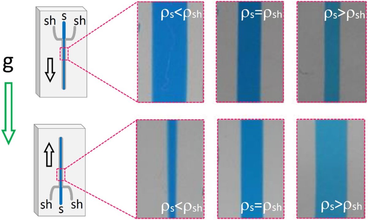 👉Here's our last publication from the last decade!
🔬This work is the result of a collaboration with @lipomize_srl in which we study a key operation in microfluidics: flow focusing.
Date of publication: December 24 🎄🤗🤩 👌Here we go 2020!!! Happy new year 💫🍾🥂