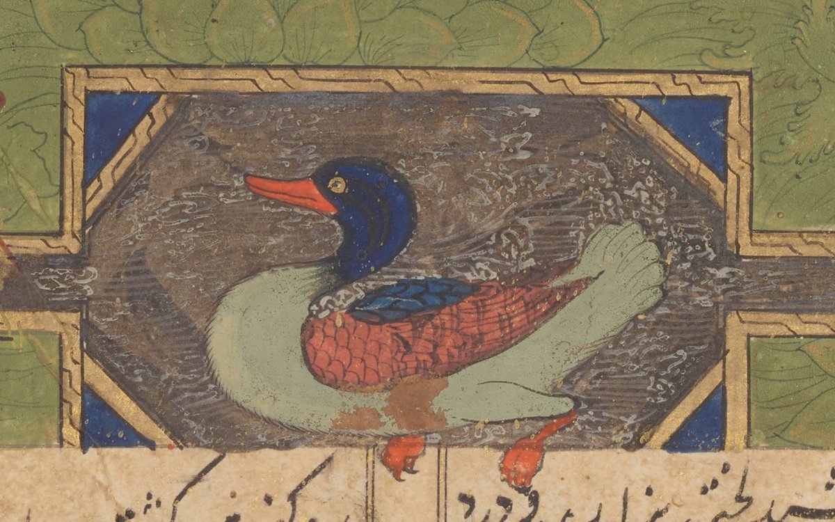 iamkristinesr's tweet photo. New Year, new role! Delighted to be starting 2020 as the Head of Conservation @CBL_Dublin #FirstDayBack #FirstDayQuack (CBL Per 293.2, Shiraz, dated 881AH/ 1476-77AD) 📚 https://t.co/ShLjZTqp0H
