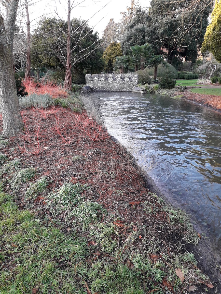 TimL_O's tweet photo. Highest I've seen River Lavant in the New Year for some time @westdeangardens Great to see the sun too! https://t.co/N8gf43BEQz