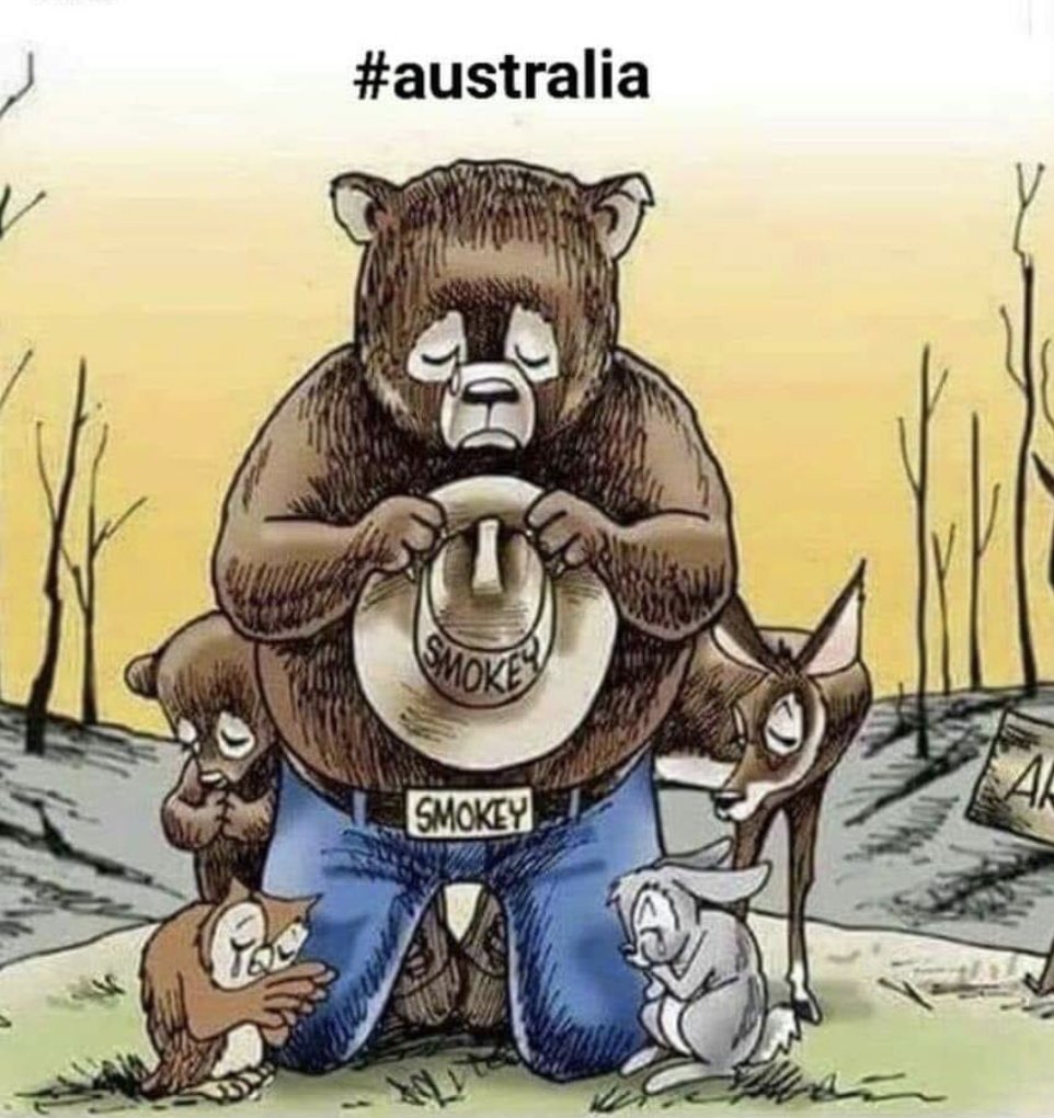 ElkCountyCARES's tweet photo. A moment of silence for all the lil creatures who lost their lives or suffered in the fires #AustraliaBurning https://t.co/d2krV1PLdo