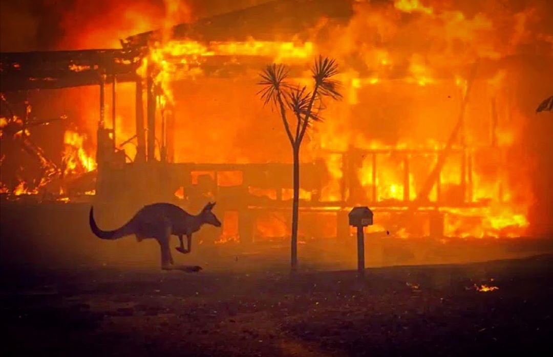 Dünya devletleri neden orada değil?
Savaş çağrısı değil yardım çağrısı yapmanın zamanı!
#Avusturalyayanıyor