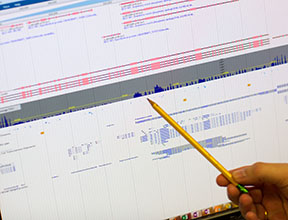 Jean-Jack Riethoven π³π± πΊπΈ π΅ππ§¬π₯π (@_jeanjack) on Twitter photo Come work with us! Hiring a bioinformatician at the #UNL Bioinformatics Core Research Fac. See employment.unl.edu/postings/67985 #bioinformatics #LNK #UNL <a href="/unl_bcrf/">UNL BCRF</a> <a href="/UNLBigData/">UNLBigData</a> <a href="/UNLresearch/">Nebraska Research</a> Come work with us! Hiring a bioinformatician at the #UNL Bioinformatics Core Research Fac. See employment.unl.edu/postings/67985 #bioinformatics #LNK #UNL <a href="/unl_bcrf/">UNL BCRF</a> <a href="/UNLBigData/">UNLBigData</a> <a href="/UNLresearch/">Nebraska Research</a>