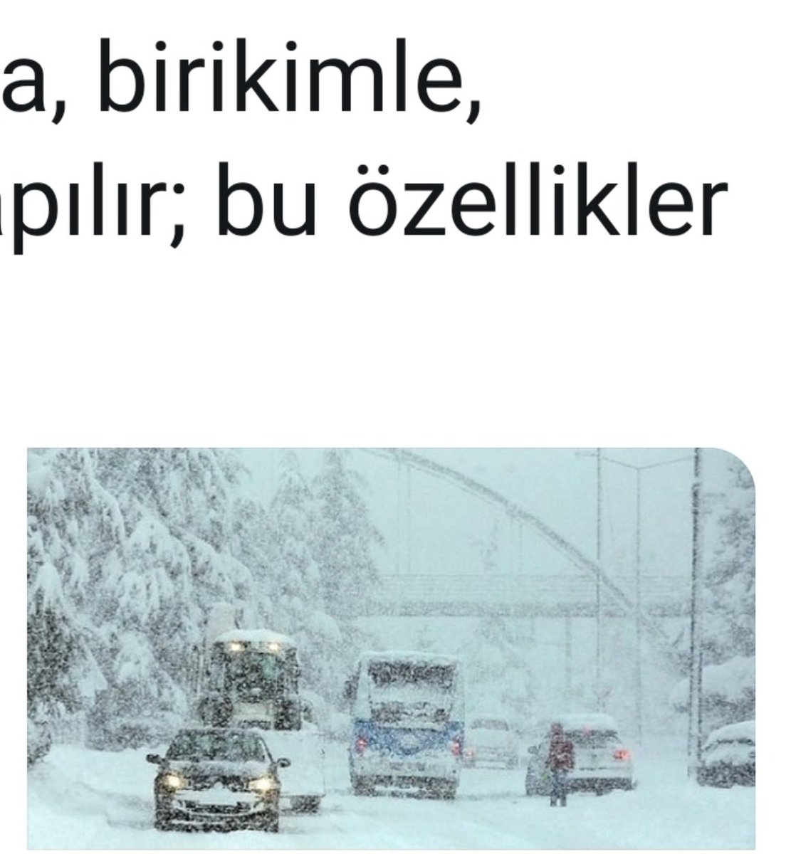nevsin mengu tweet media