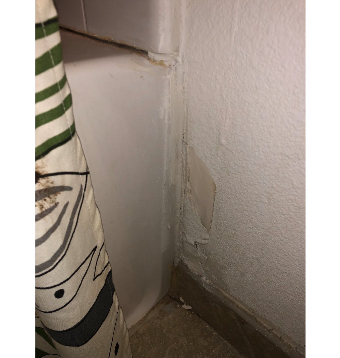 TheKaseyWilson's tweet photo. These photos are from 2 different houses, coincidentally across the street from each other. The renters reached out to me after seeing my story air on WBOC last Thursday and asked if I would come by and check out their houses. #mold #huntmilitary https://t.co/KYyCUBT6k6