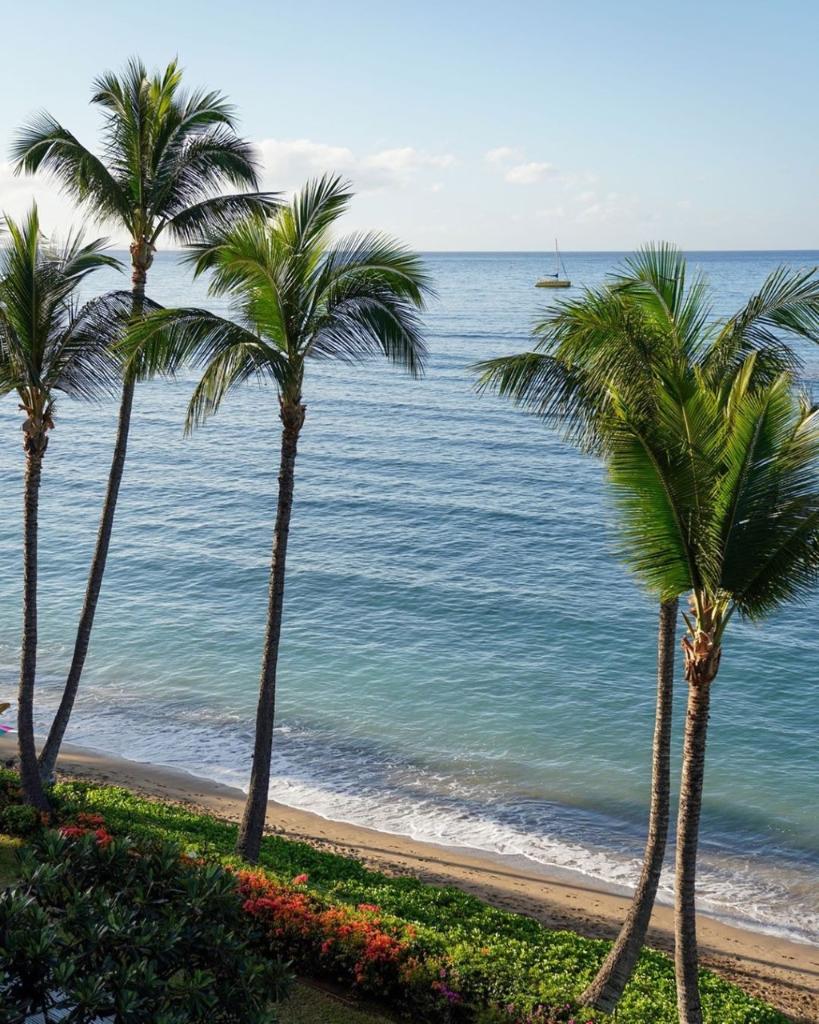 Starting your mornings off right with picturesque views <a href="/LahainaShores/">Lahaina Shores</a>  😍 

📸: lindsayabradley on Instagram
