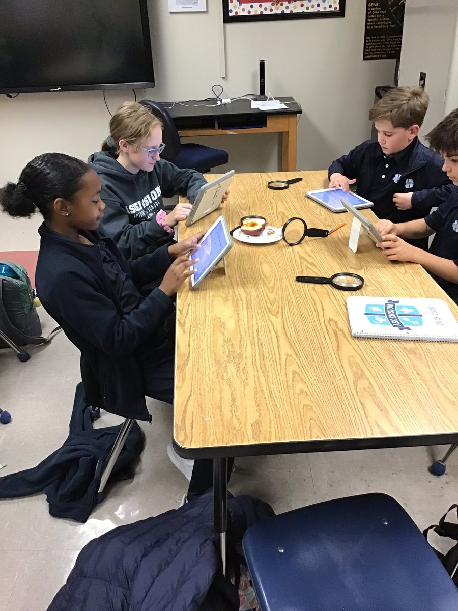Bluegators5th's tweet photo. Observing apples! https://t.co/FzHmHtTsn9