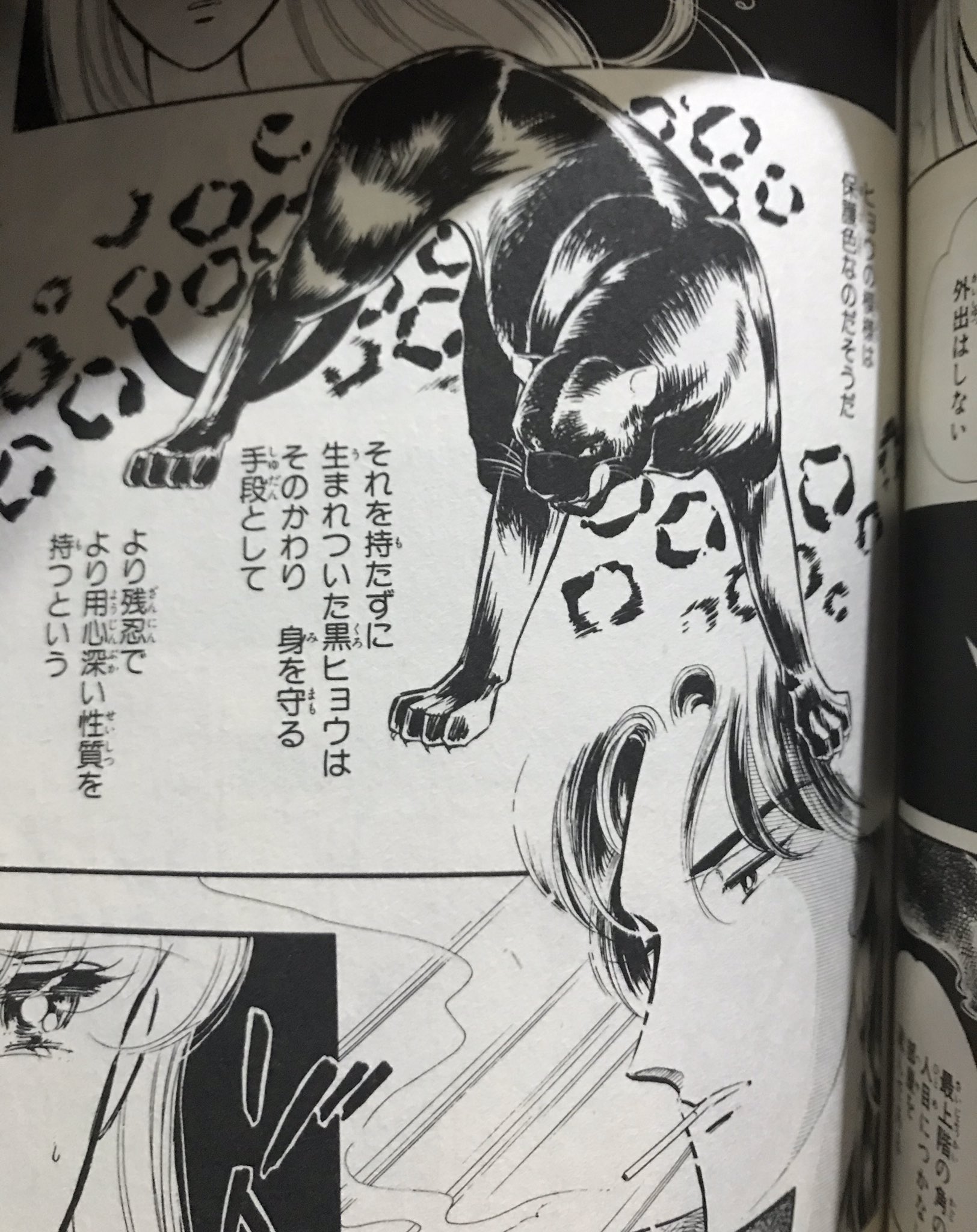ぽぽちゃん 衛星劇場 キャッツアイ 子供が あれ 思ってたのと違うと 闇のパープルアイ と勘違いしていたらしいです笑 秀樹は小田切さんかな 篠原千絵 西城秀樹 少女漫画 T Co E0esdqi4rr Twitter