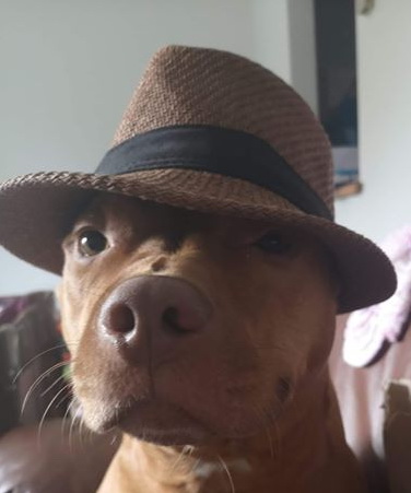 RCMPNS's tweet image. If you’re trying to up your #coolfactor and be a fly looking guy like Jake from #HatchetLake. He has a tip for you, do your #9PMROUTINE! 

Let us know when you’re #lockedup and check in nightly for extra cool points.