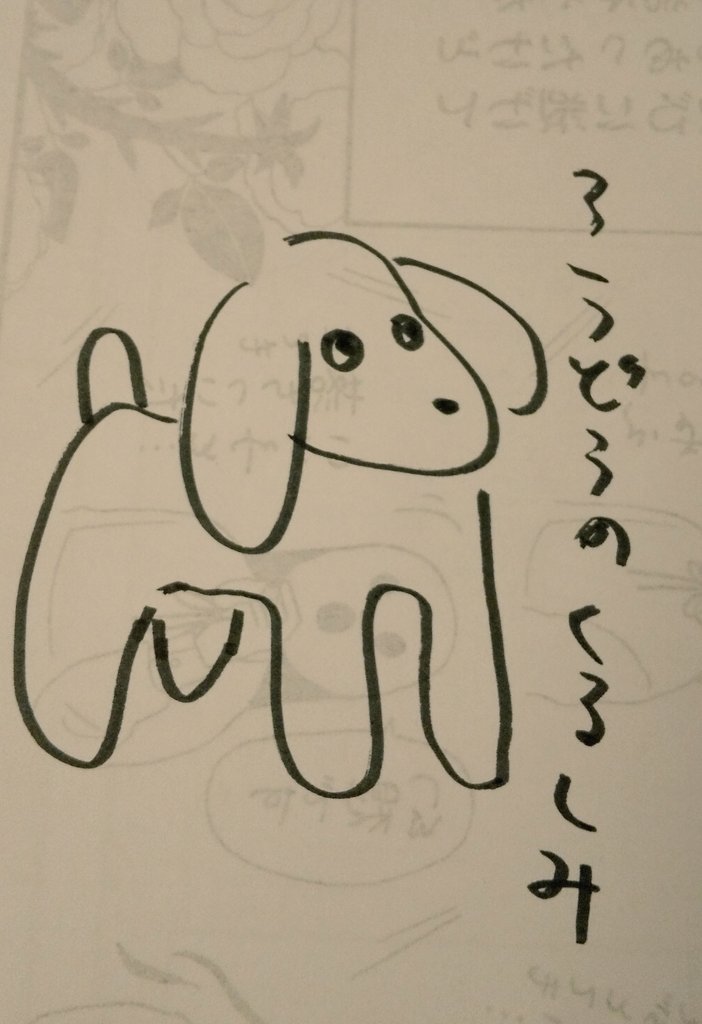 今日の犬です 