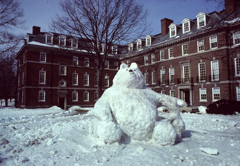 Snow bear sculpture on frosh quad.