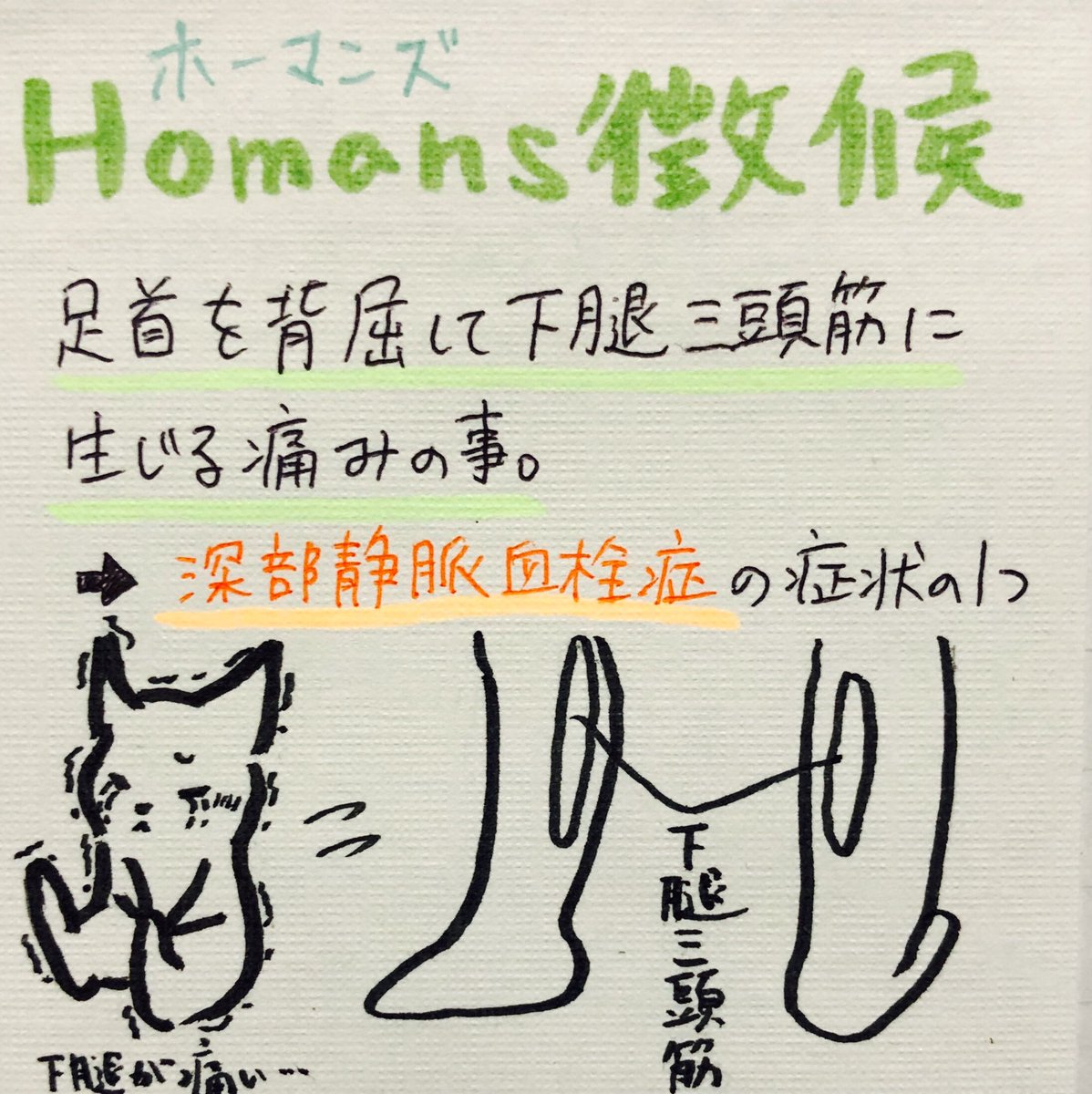 ホーマンズ 徴候 ☕ ホーマンズ徴候とは～ふくらはぎの痛みによる深部静脈血栓症の評価～