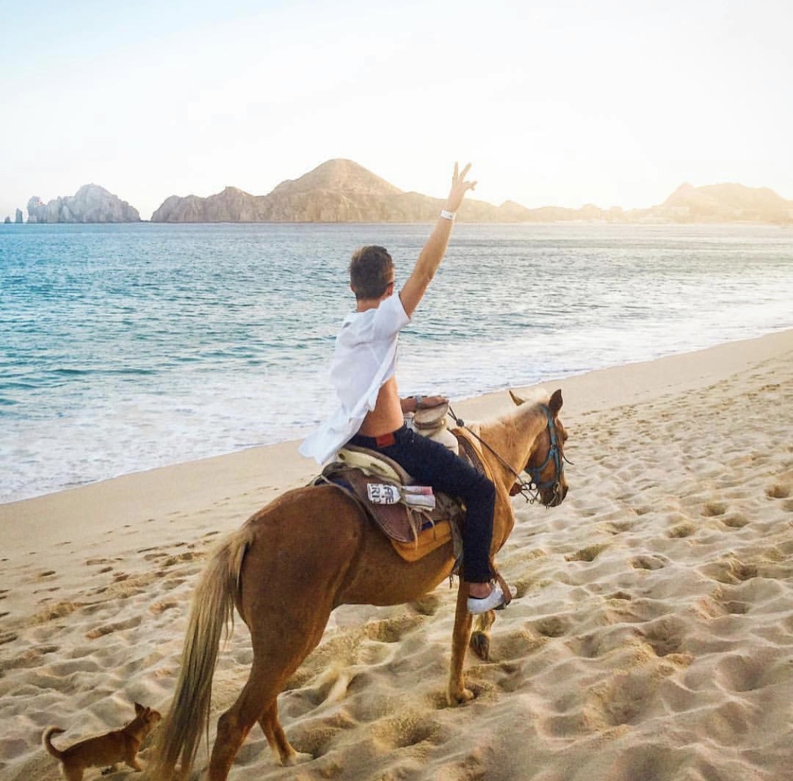 JusCollege's tweet image. 🐎during 🌅?  Yes please.